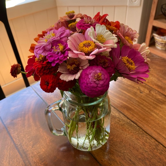 Meet your Posher, Mary Allison - Picture 2 of 6